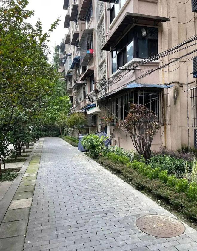 房装修补贴新政落地最高补贴5万元m6米乐想给旧房装修的恭喜了！旧(图8)