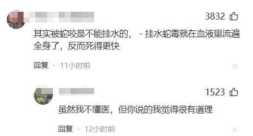 甲医院面对常见蛇伤却毫无办法三亚被蛇咬死的美女真冤堂堂三(图9)