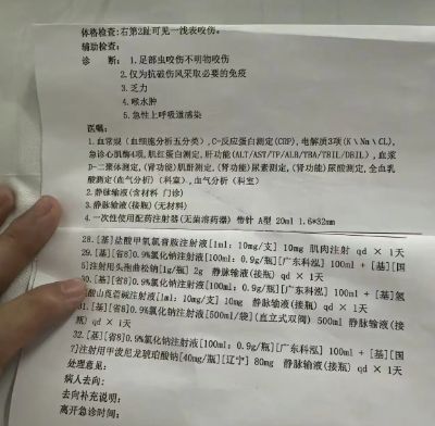 甲医院面对常见蛇伤却毫无办法三亚被蛇咬死的美女真冤堂堂三(图10)